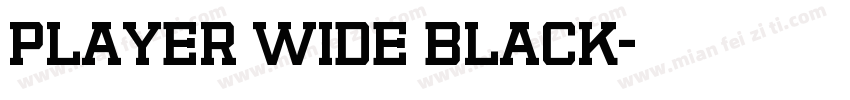 Player Wide Black字体转换